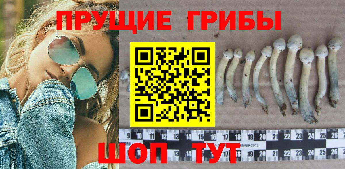 Ишим  Галлюциногенные грибы мицелий  Вход с VPN 